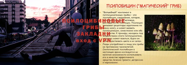 молекула духа Алексеевка